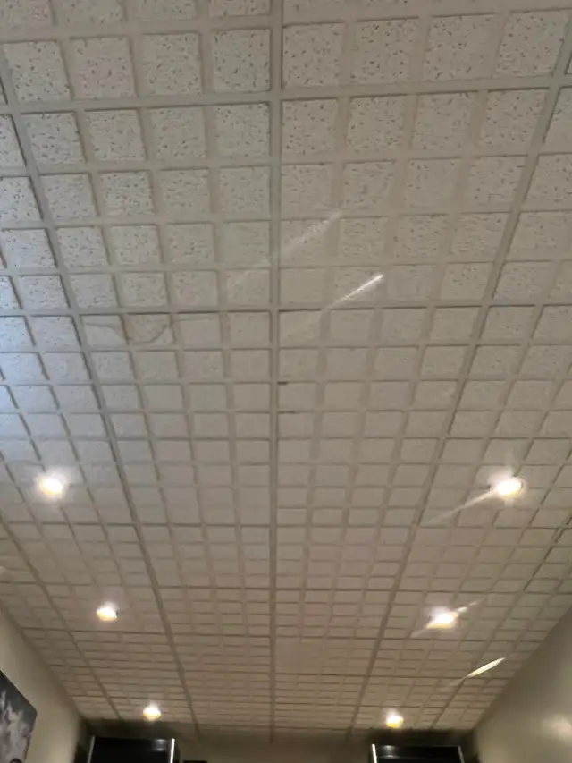 Tuile plafond suspendu