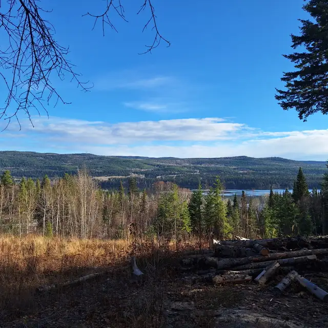 ✨ 5.17 ACRE PROPERTY AT TABOR LAKE WITH INCREDIBLE LAKE VIEWS! ✨ - Photo 6