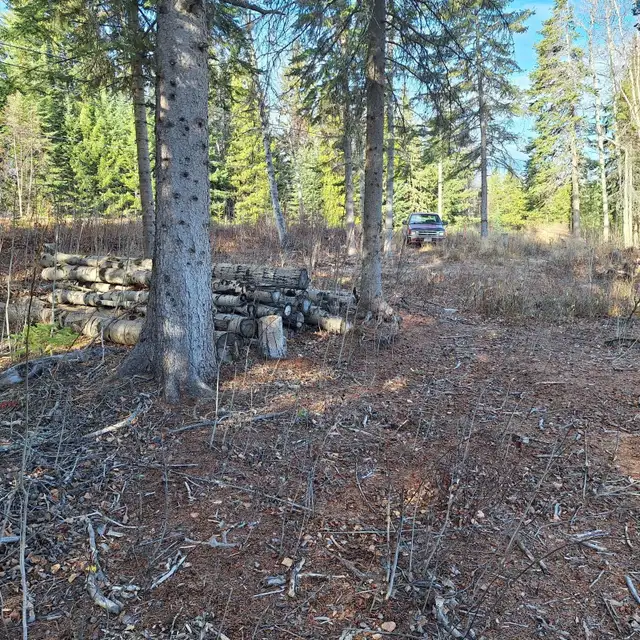 ✨ 5.17 ACRE PROPERTY AT TABOR LAKE WITH INCREDIBLE LAKE VIEWS! ✨ - Photo 8