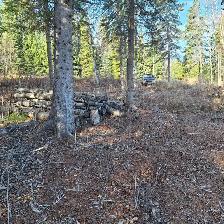 ✨ 5.17 ACRE PROPERTY AT TABOR LAKE WITH INCREDIBLE LAKE VIEWS! ✨ - Photo 8