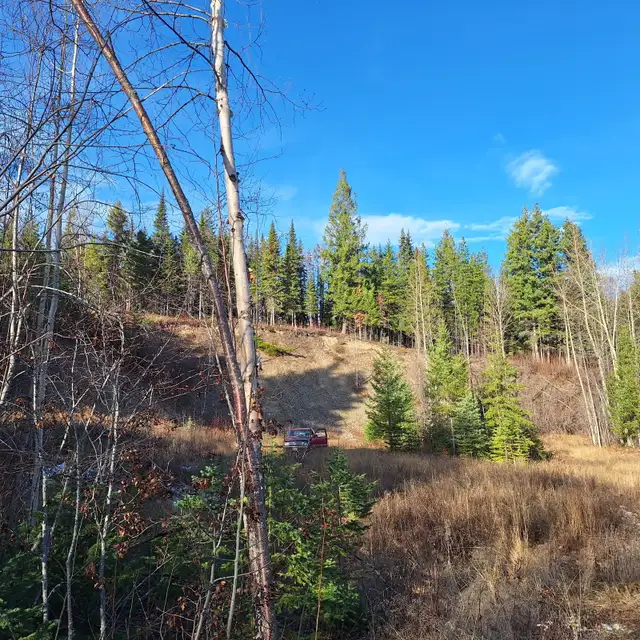 ✨ 5.17 ACRE PROPERTY AT TABOR LAKE WITH INCREDIBLE LAKE VIEWS! ✨ - Photo 9