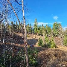 ✨ 5.17 ACRE PROPERTY AT TABOR LAKE WITH INCREDIBLE LAKE VIEWS! ✨ - Photo 9