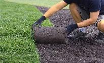 SOD INSTALLATION