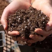 Premium Organic Potting Soil Delivered FREE Across the GTA - Photo 2