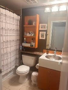 LIVE IN THE SKY- VERY HIGH - 35 MARINER- APRIL 15 or MAY 1 - Photo 6