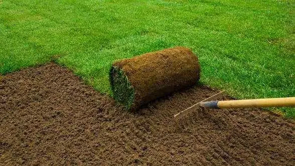 SOD INSTALLATION (EARLY BIRD DISCOUNT)