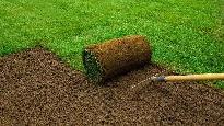 SOD INSTALLATION (EARLY BIRD DISCOUNT)