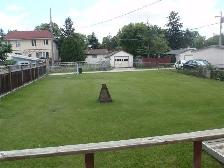 Just beside U of M, 3 bedrooms whole house for rent