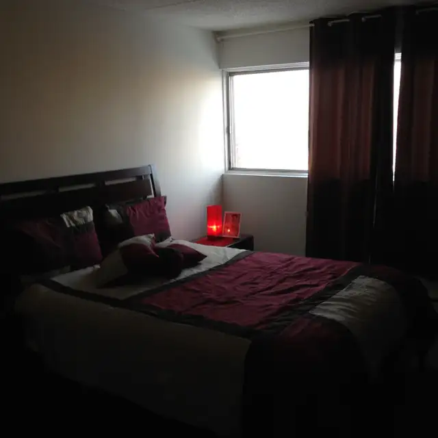 3 1/2 Saint-Lambert PRÈS METRO et REM PANAMA - Photo 6