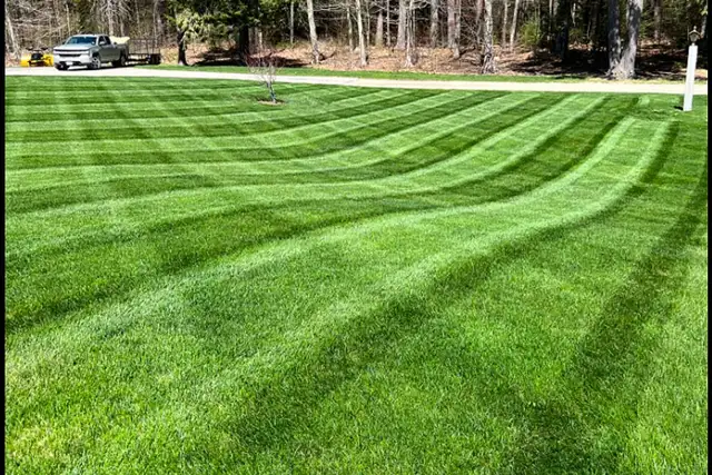 LAWN MOWING