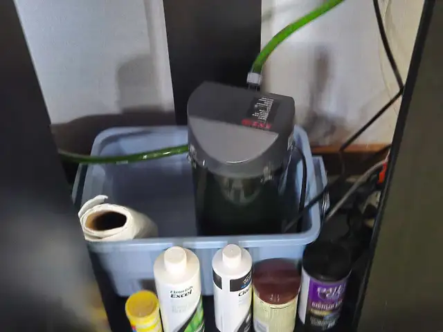 Bow Front Aquarium 36' wide - Photo 7