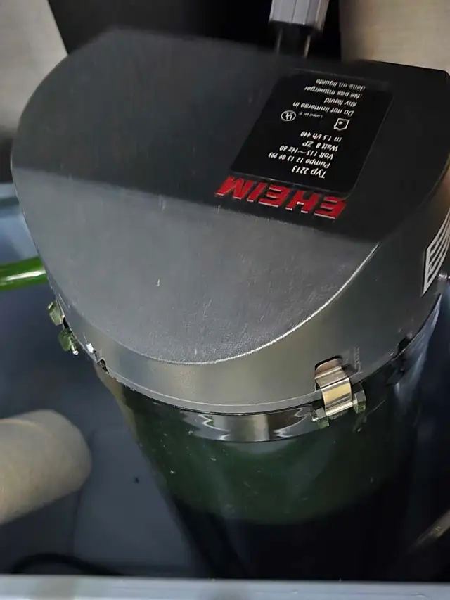 Bow Front Aquarium 36' wide - Photo 8