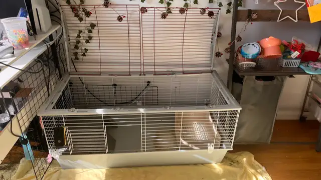 Lot cage bouffe lapin  extras