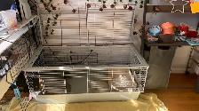 Lot cage bouffe lapin  extras