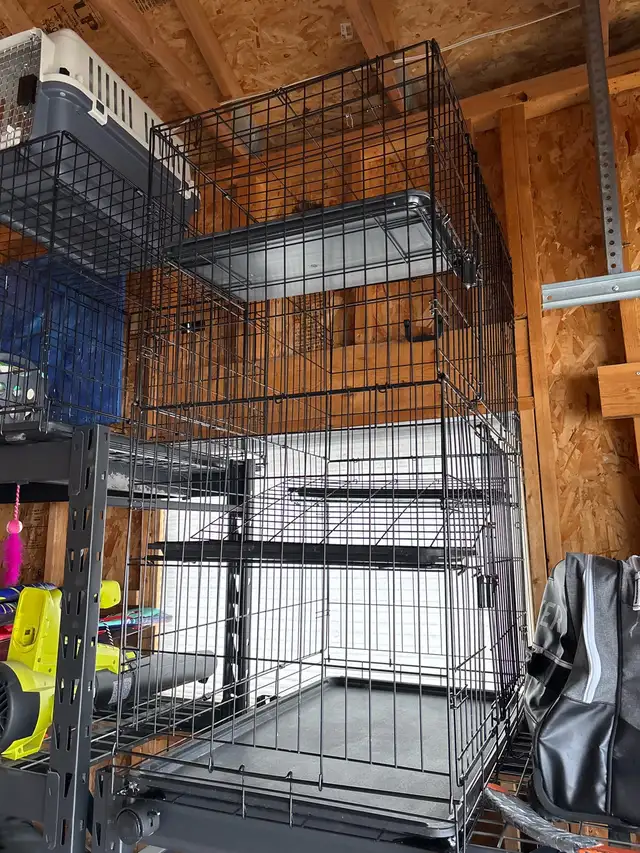 dog or cat kennels