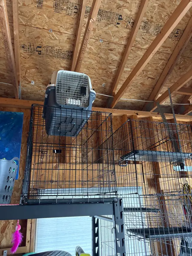 dog or cat kennels - Photo 2