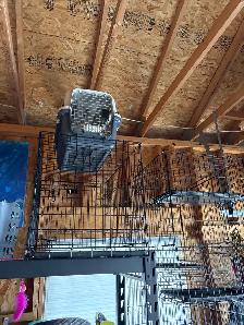 dog or cat kennels - Photo 2