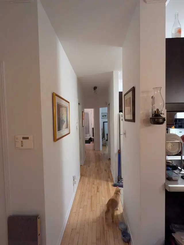Condo for rent in St-Henri(Montreal) - Photo 4