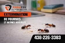 Exterminateur résidentiel et commercial - Photo 2