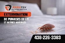 Exterminateur résidentiel et commercial - Photo 3