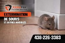 Exterminateur résidentiel et commercial - Photo 4