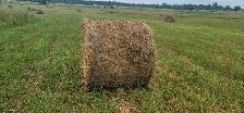 Round bale hardcore 4x4 .2025 hay stored inside. 140 bales  $40