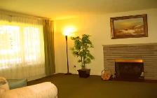5min to Algonquin, 20min to DT. Large Private room, Female only