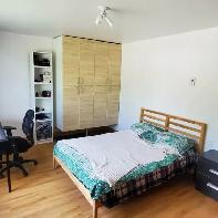 Private room for rent - Photo 4