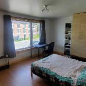 Private room for rent - Photo 5