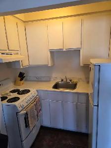 Coloc Fille Rechercher - Photo 4