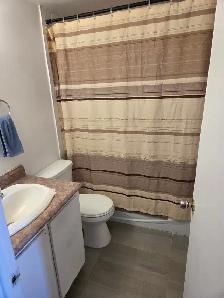 Coloc Fille Rechercher - Photo 6