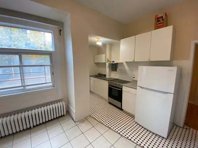 Bright and Spacious 1-bedroom unit! Available June 1st! - Photo 4