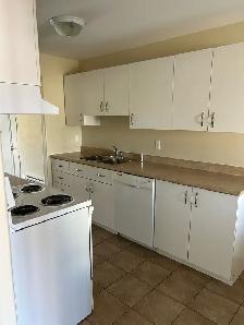 2 Bedroom Apartment - Photo 3