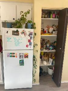 Bel Appart, une ch fermée,  Village 1er juin ou 1er juillet - Photo 3