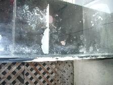 MOVING SALE RED SEA 350 AQUARIUM SET UP $500 ( BEST OFFER ) - Photo 2