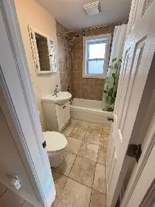 Beautiful large 1 bedroom apartment - Photo 3