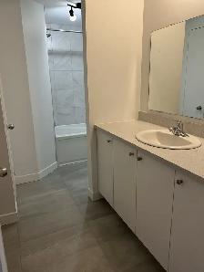 4 1/2 à louer St-Jean-Chrysostome - Photo 2