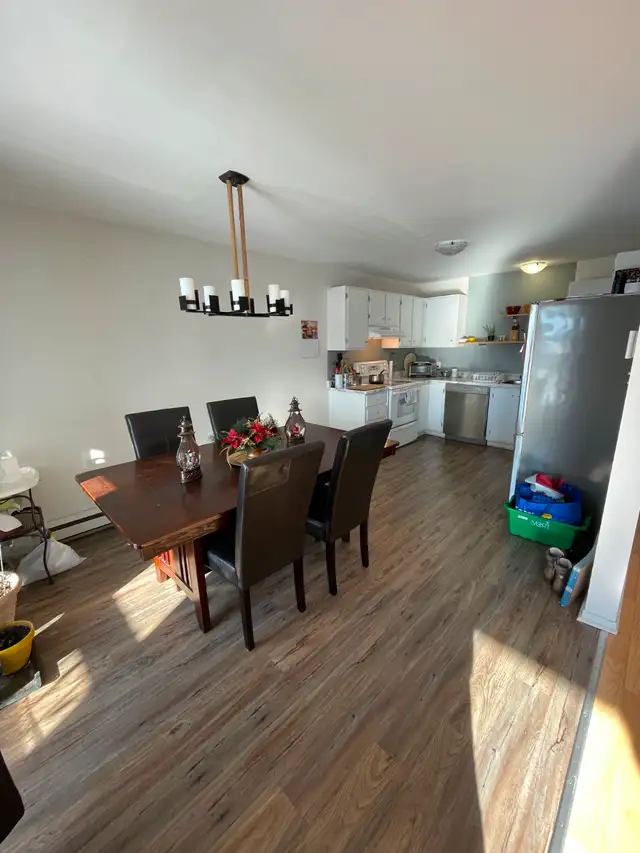 4 1/2 à louer St-Jean-Chrysostome - Photo 5