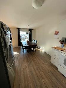 4 1/2 à louer St-Jean-Chrysostome - Photo 6