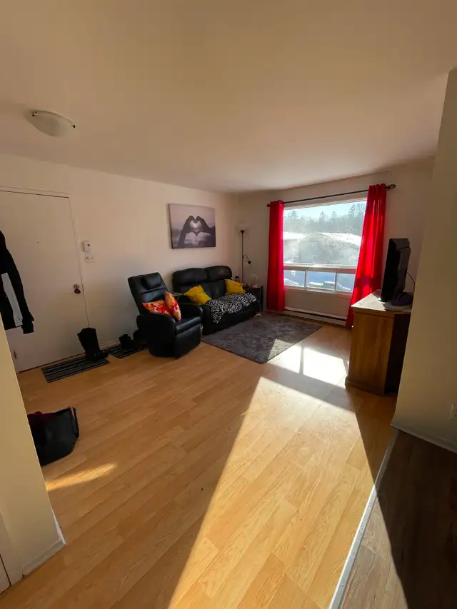 4 1/2 à louer St-Jean-Chrysostome - Photo 7