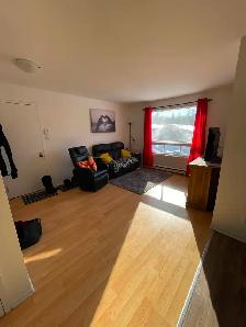 4 1/2 à louer St-Jean-Chrysostome - Photo 7