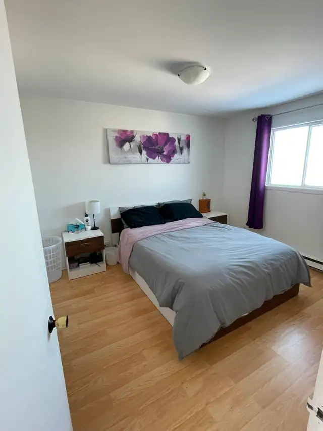 4 1/2 à louer St-Jean-Chrysostome - Photo 9