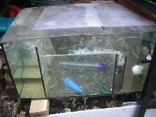 MOVING SALE RED SEA 350 AQUARIUM SET UP $500 ( BEST OFFER ) - Photo 6