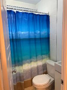 MÉTRO JOLIETTE: TRÈS GRAND 3 1/2 RDC COUR, PL. VALOIS, HOCHELAGA - Photo 2