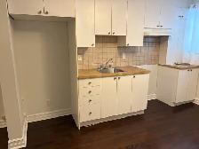 MÉTRO JOLIETTE: TRÈS GRAND 3 1/2 RDC COUR, PL. VALOIS, HOCHELAGA - Photo 3