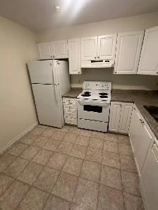 Room for Rent - Photo 3