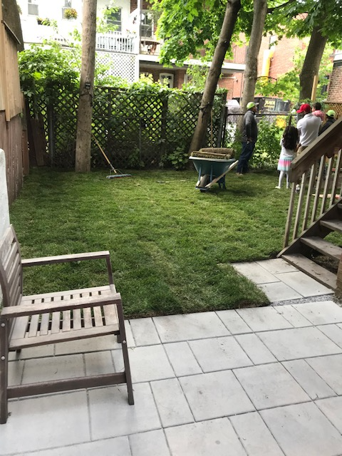 Westmount Grand/Big 6 1/2 Duplex central, jardin/yard, parking - Photo 10
