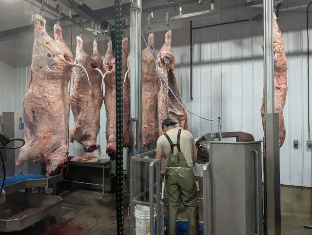 Beef Abbatoir services (Wembley AB)