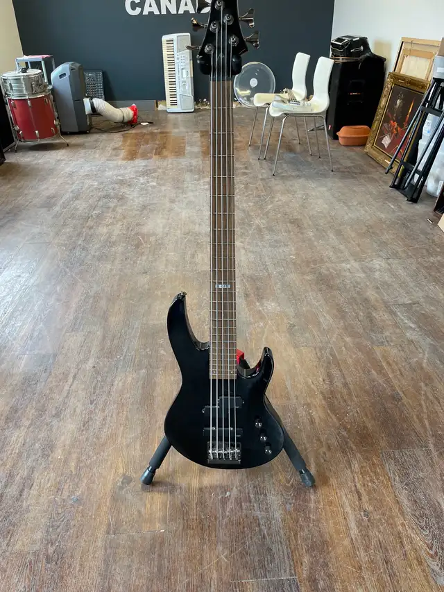 LTD B-55 Bass