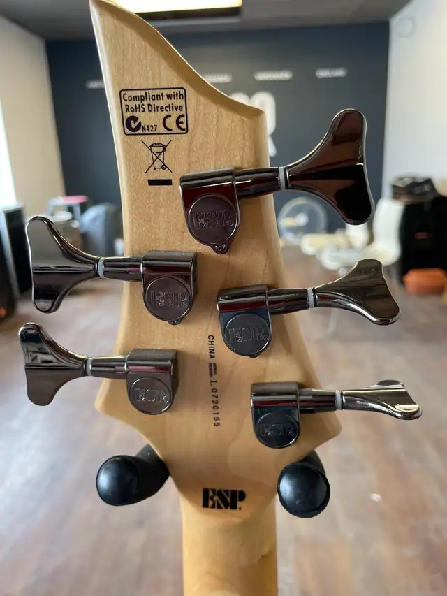 LTD B-55 Bass - Photo 2